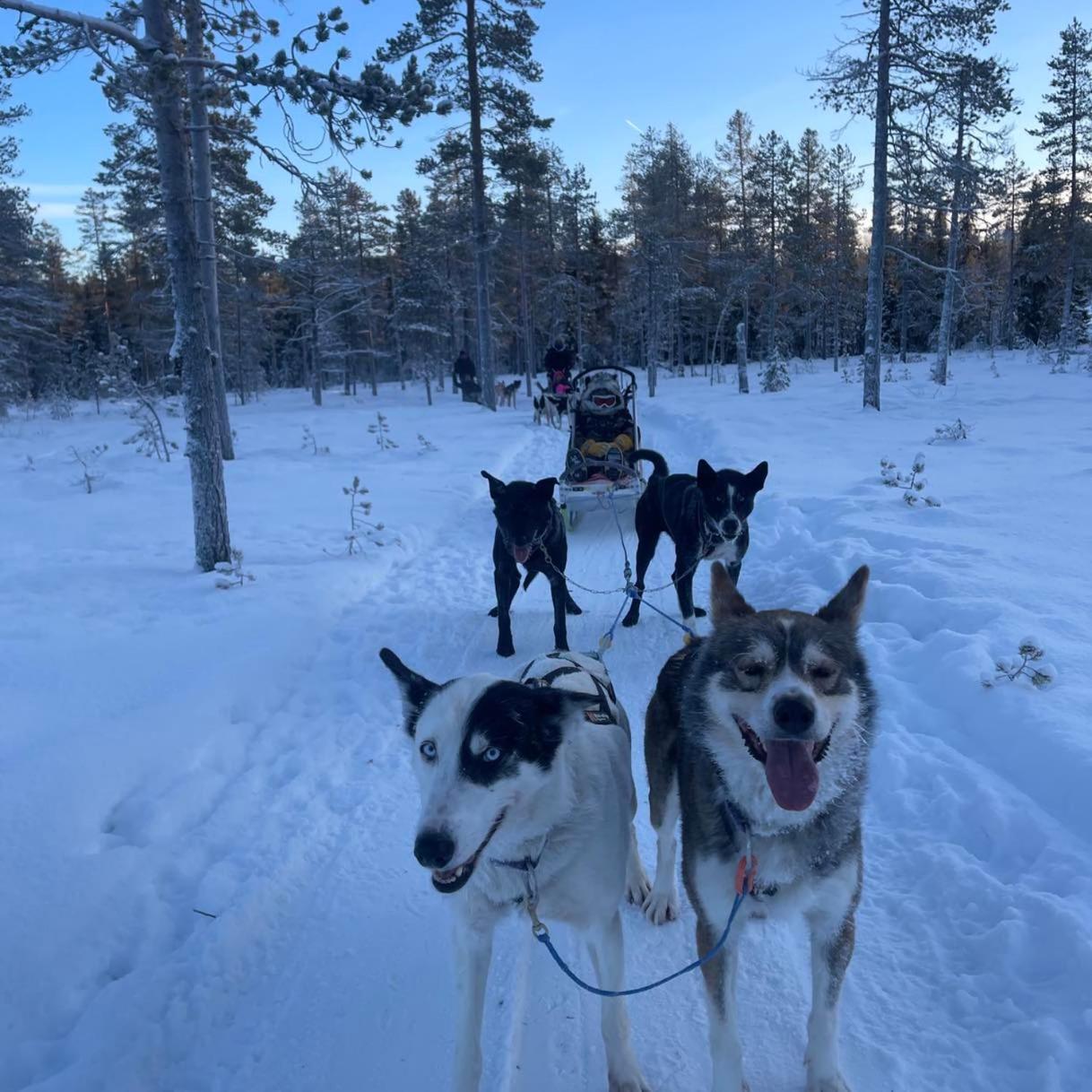 Saeterasen Hytter & Camping Trysil Esterno foto