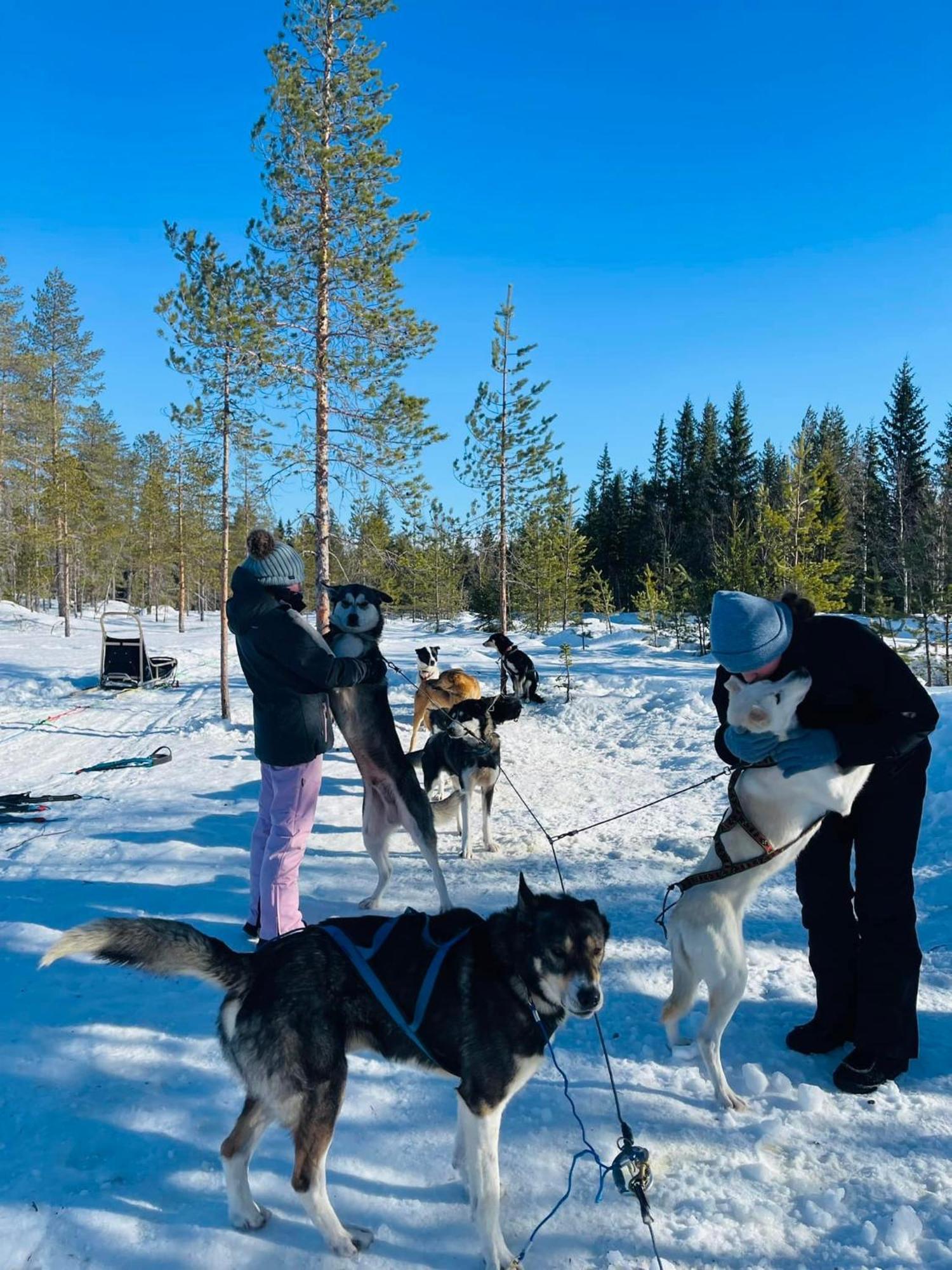 Saeterasen Hytter & Camping Trysil Esterno foto