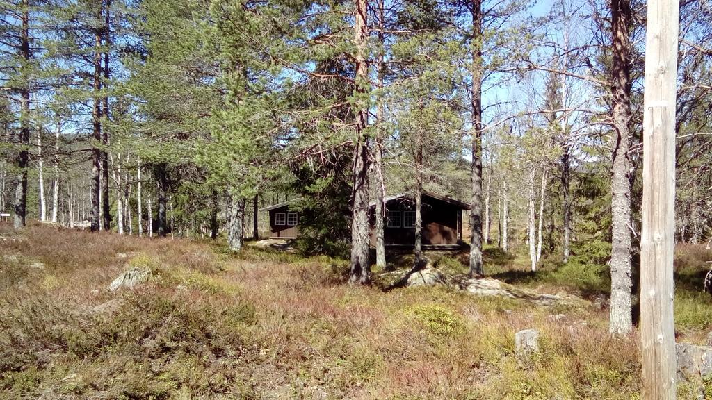 Saeterasen Hytter & Camping Trysil Esterno foto