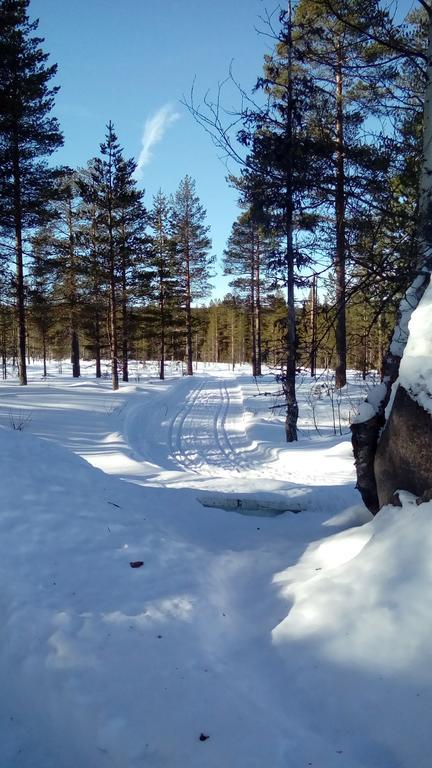 Saeterasen Hytter & Camping Trysil Esterno foto