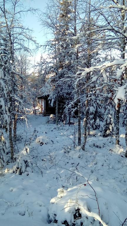 Saeterasen Hytter & Camping Trysil Esterno foto